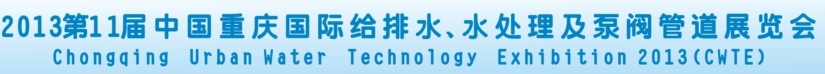 2013第十一屆重慶國際給排水、水處理設(shè)備及泵閥管道展覽會